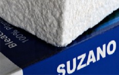 suzano-expands-global-presence